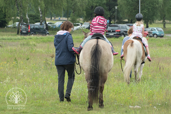 DSC07351