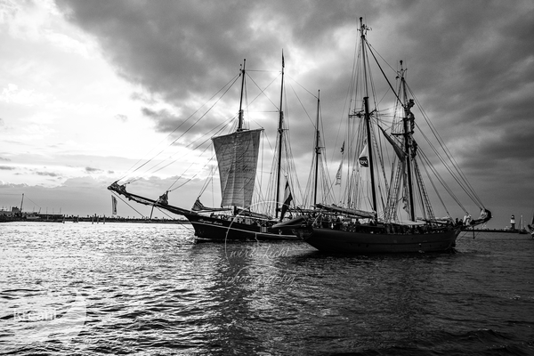 DSC03653-WJ-HanseSail_kreani