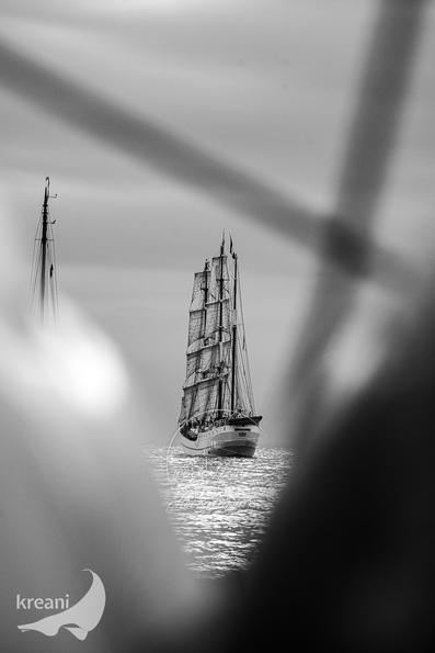 DSC03705-WJ-HanseSail_kreani