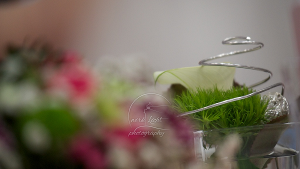 SONY DSC
