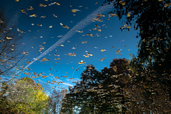 Herbst Wasserspiegelung