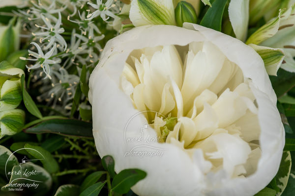kreani-Nieter_web-DSC03363