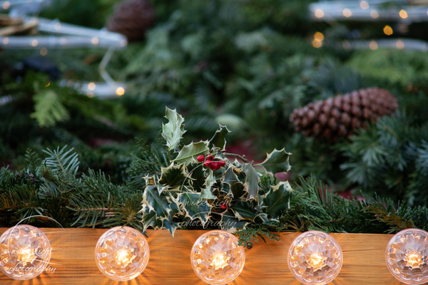 20191210-DSC08961-kreani-Nieter_web