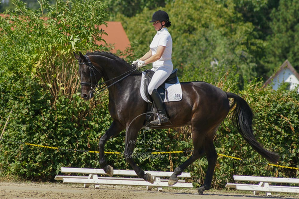 SONY DSC