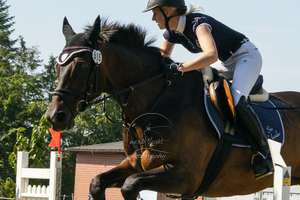 Reitverein Landesbergen