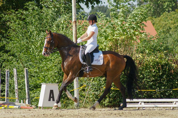SONY DSC