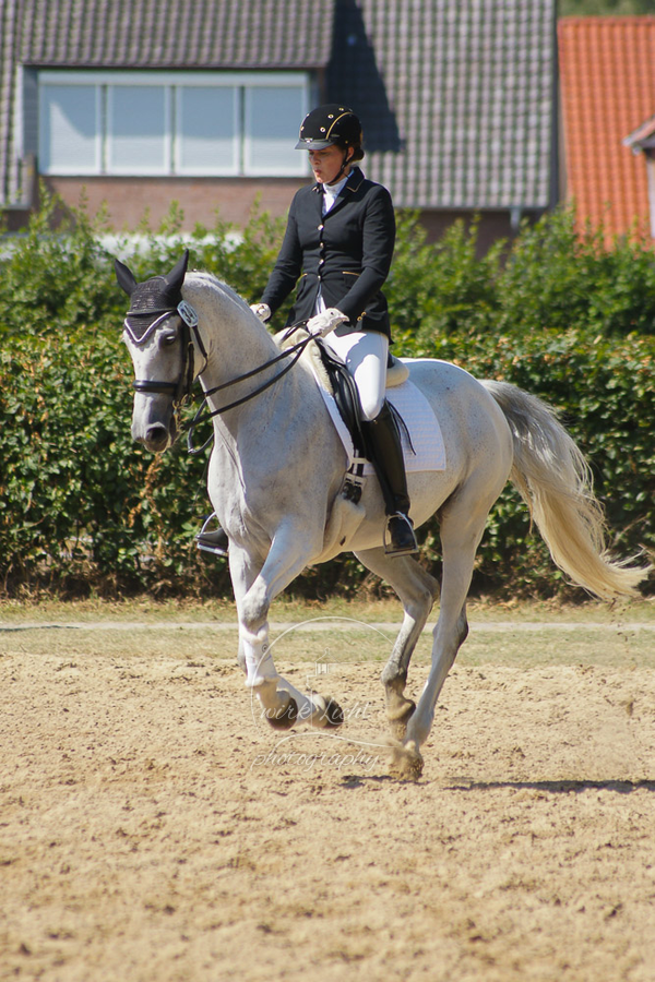 SONY DSC
