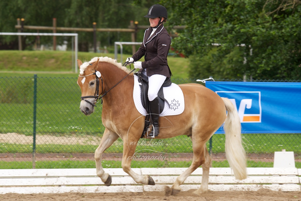 Reitverein Auetal