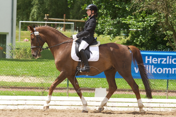 Reitverein Auetal