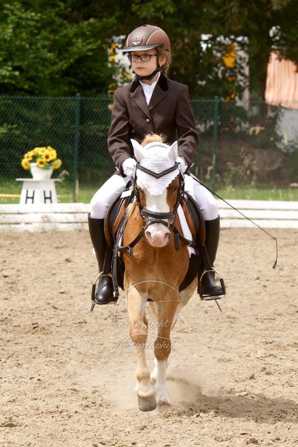 Reitverein Auetal
