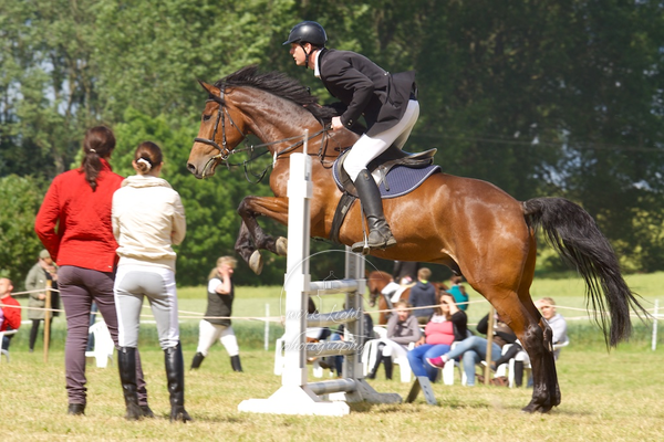 Reitverein Auetal