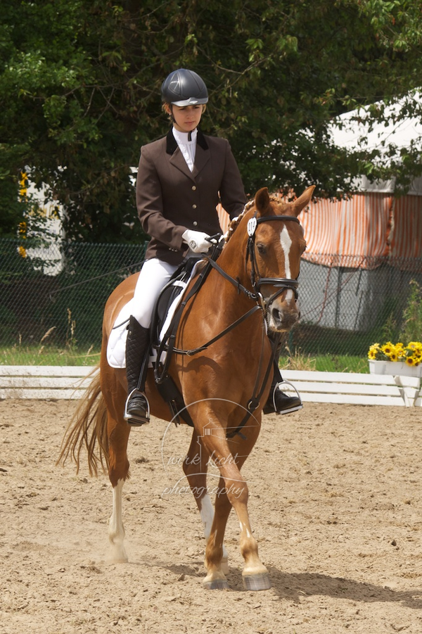 Reitverein Auetal