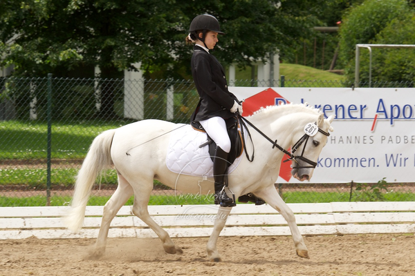 Reitverein Auetal