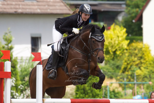 Reitverein Auetal