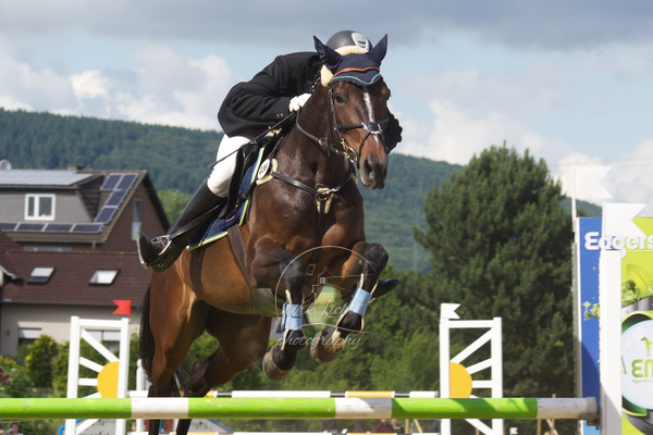 Reitverein Auetal