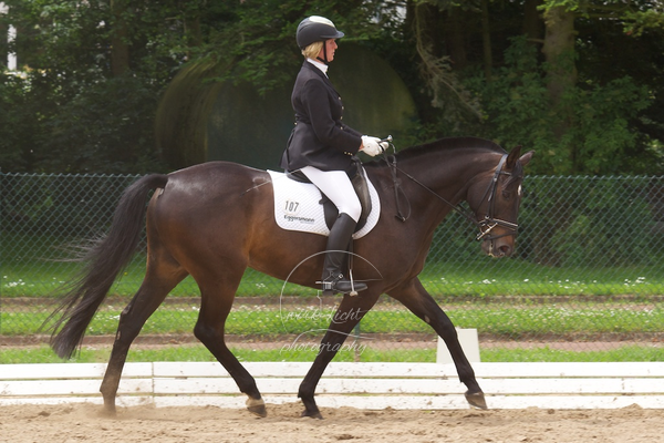 Reitverein Auetal