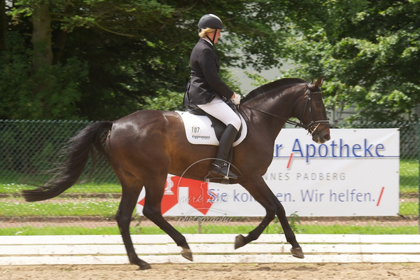 Reitverein Auetal