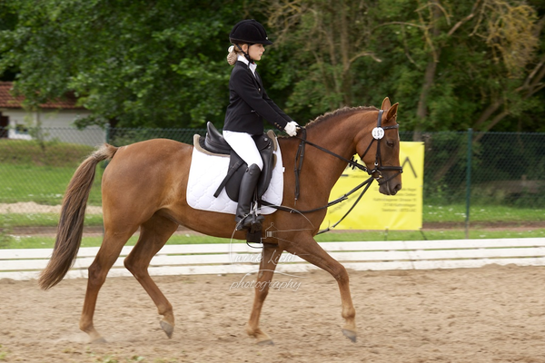 Reitverein Auetal