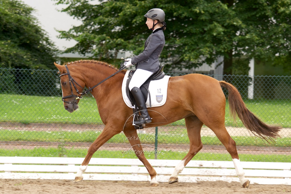 Reitverein Auetal
