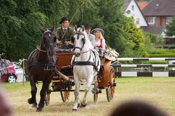 Reitverein Auetal