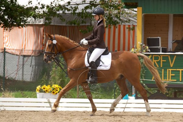 Reitverein Auetal