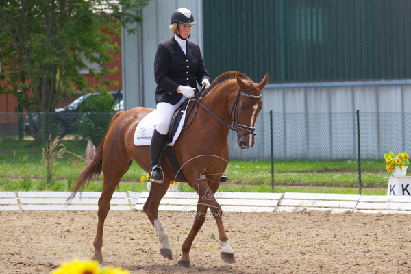 Reitverein Auetal