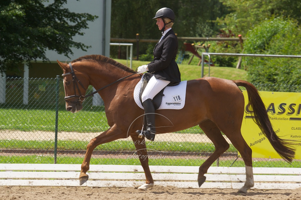 Reitverein Auetal