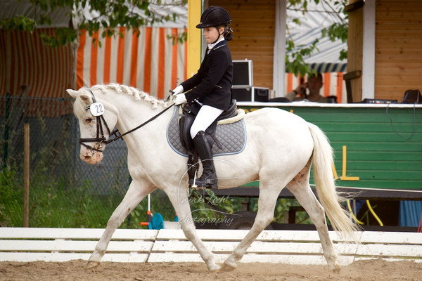 Reitverein Auetal