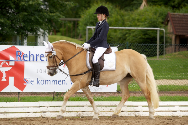 Reitverein Auetal