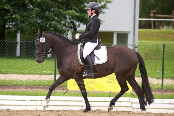 Reitverein Auetal