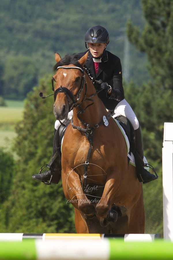Reitverein Auetal