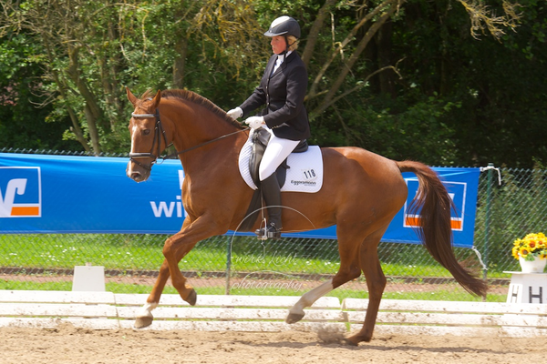 Reitverein Auetal
