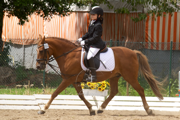 Reitverein Auetal