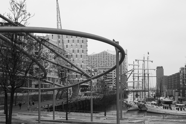 DSC08951