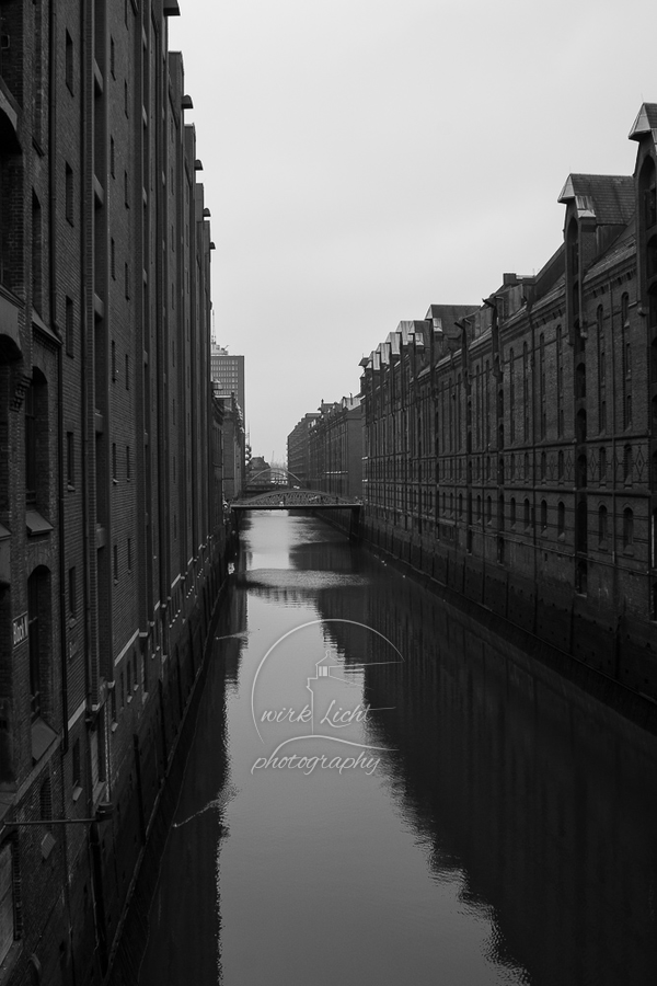 DSC08946